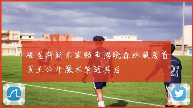 福克斯新东家赔率揭晓森林狼居首国王公牛魔术紧随其后